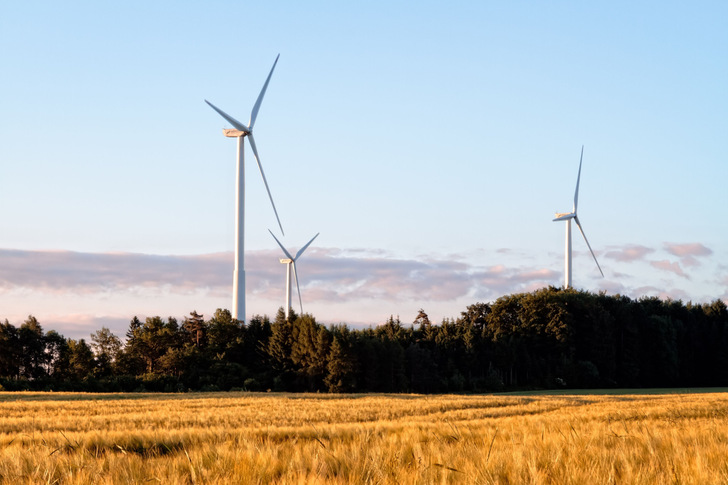 Die Windenergie in Frankreich benötigt künftig weniger artenschutzrechtliche Ausnahmegenehmigungen. - © A. Zerndl - 123RF
