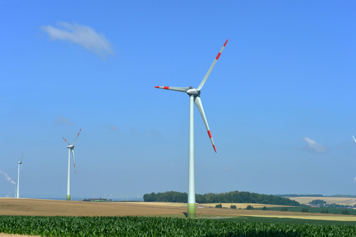 NEW wird gemeinsam mit Trianel nun eine Klimaroadmap erarbeiten. 