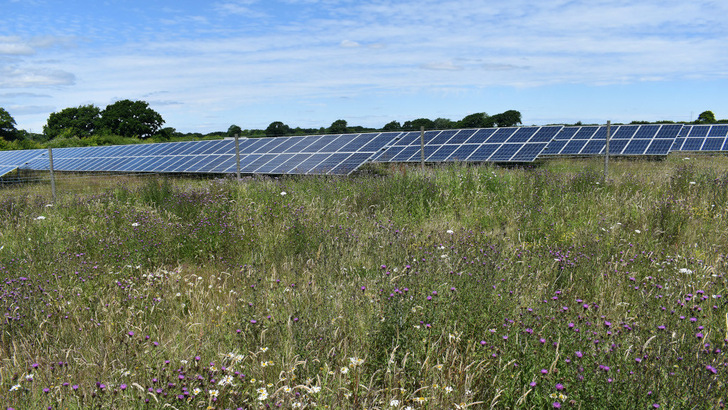 Insgesamt zehn Solarparks mit einer Gesamtleistung von 150 Megawatt hat Belectric demnächst zusätzlich in der Betriebsführung. - © Wise Energy
