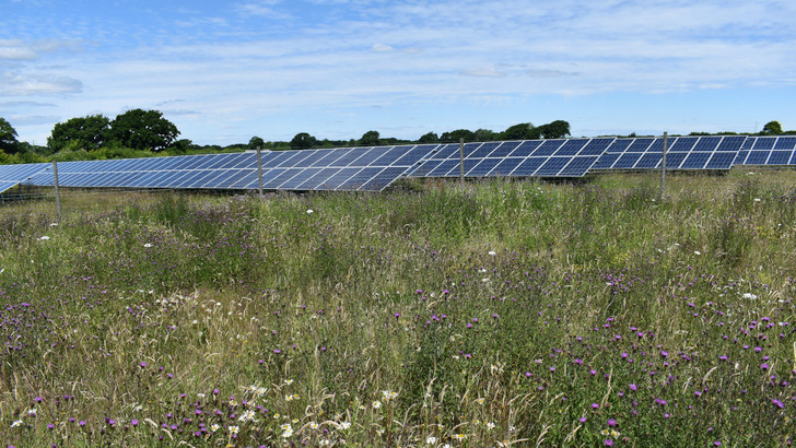 Insgesamt zehn Solarparks mit einer Gesamtleistung von 150 Megawatt hat Belectric demnächst zusätzlich in der Betriebsführung.