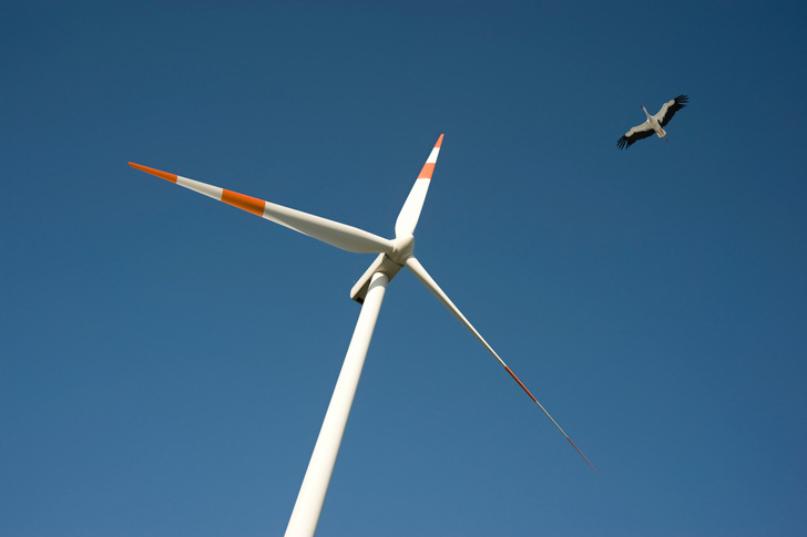 Windenergie und Vogelschutz geraten bei der Planung häufig in Konflikt. - © LEE NRW
