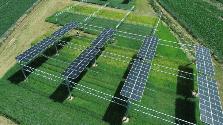 Im Agri Food-Energy-Park des Instituts für Pflanzenwissenschaften erproben Wissenschaftler des Forschungszentrums Jülich neue Konzepte für die Agri-PV – in Zukunft auch mit gedruckten Solarzellen. - © Forschungszentrum Jülich/Christina Kuchendorf
