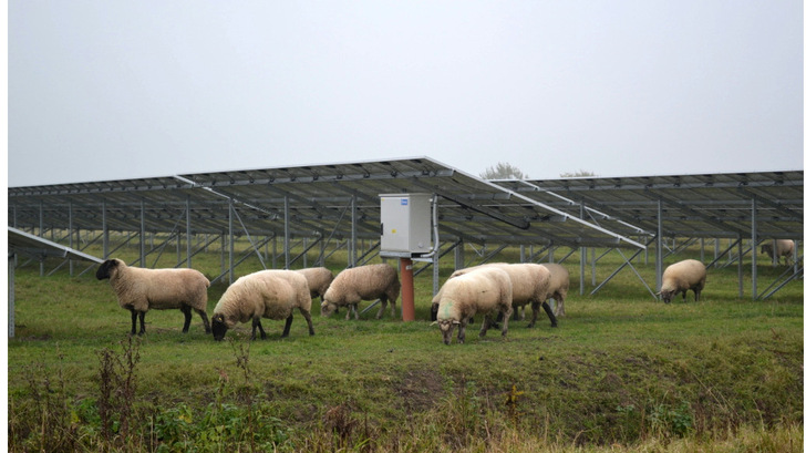 Ein Solarpark ist eine üppige Investition. Diese muss gut geplant und abgesichert werden. - © Velka Botička
