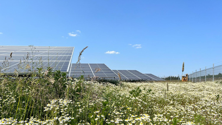 Der Solarpark in Kröv haucht der einstigen Mülldeponie neues Leben ein. Die Erweiterung scheitert am schwächelnden Netz. - © WI Energy
