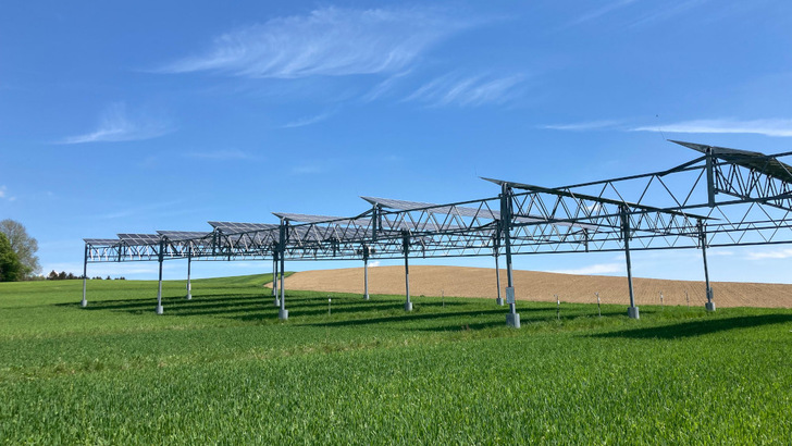 Die Agri-PV bekommt zusammen mit anderen innovativen Lösungen ein eigenes Ausschreibungssegment.