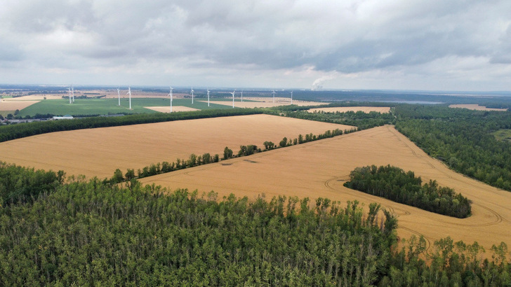 Noch ist die Fläche unbebaut und landwirtschaftlich genutzt. In Zukunft wird hier Sonnenstrom produziert.