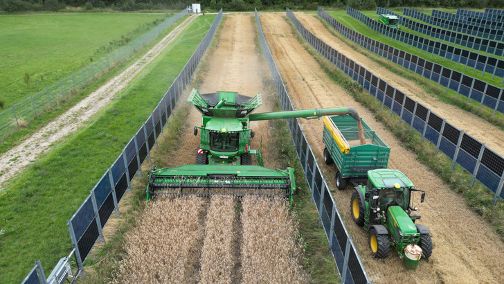 Wie hier in Donaueschingen soll auch bei der Anlage in Vermont die landwirtschaftliche Nutzung weiterhin fast ungehindert möglich bleiben. - © Next2Sun
