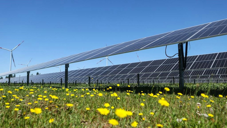 Der Solarpark in Pallihue wurde in direkter Nachbarschaft eines existierenden Windparks gebaut. - © Goldbeck Solar
