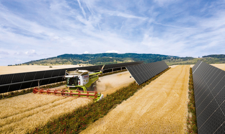 Ein Agri-PV-Projekt in Spanien: Europas Nr. 2 hinter Deutschland hat 2023 über acht Gigawatt ans Netz gebracht. - © Foto: BayWa r.e.
