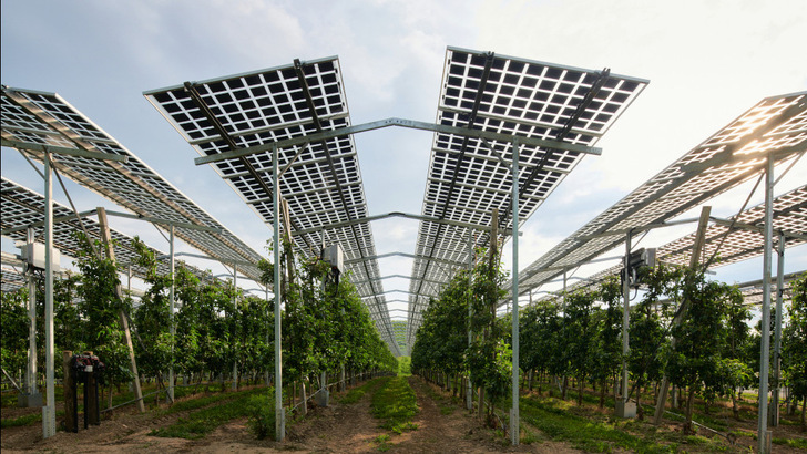 Auch für Kroatien eine Möglichkeit: Die Solaranlage überdacht eine Apfelplantage und schützt so gegen Witterungseinflüsse. - © Bernd Schumacher
