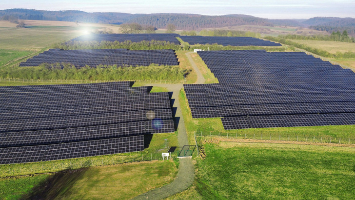  Bei der Entwicklung der Solarparks hat Belectric auch auf Biodiversität auf den Flächen geachtet.