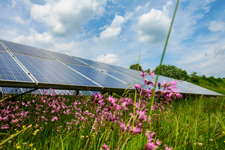 Anders als dieser EnBW-Solarpark Leutkirch gibt es für den 80-MW-Solarpark in Langenenslingen ungewöhnlich viel Platz.  - © ARTIS - Uli Deck
