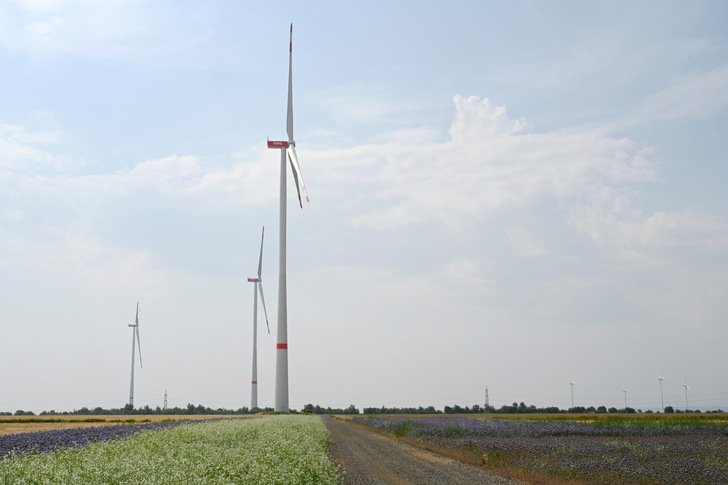 Opening Bedburg Wind Farm 2022 - © RWE
