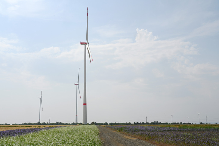 Opening Bedburg Wind Farm 2022