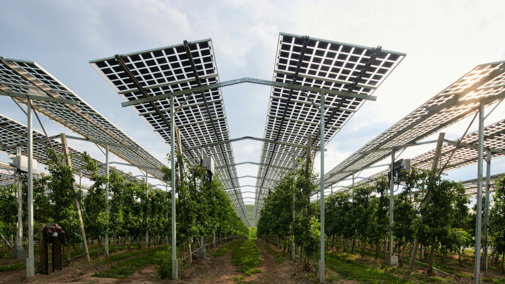  Der Schutz von empfindlichen Pflanzen ist für die Landwirt:innen nicht der ausschlaggebende Faktor, eine Agri-PV-Anlage zu errichten.