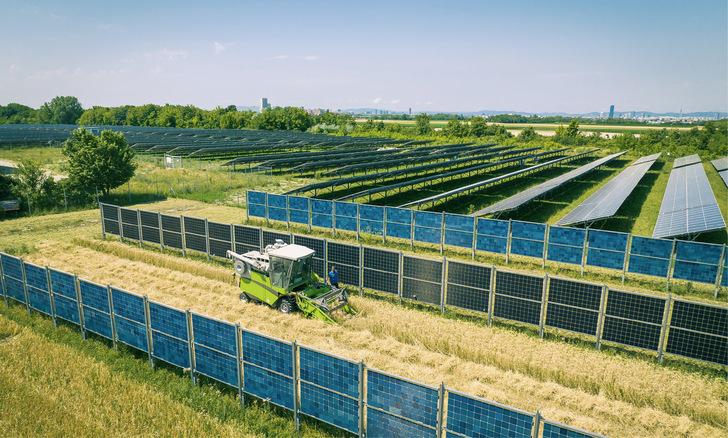 Wien Energie hat am Rand der österreichischen Hauptstadt ein Versuchsfeld mit einem vertikal aufgestellten Agri-PV-System aufgebaut.