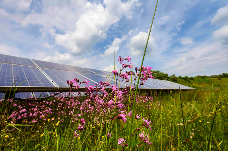  Der Energiepark Gundelsheim ist ein Leuchtturmprojekt der EnBW.