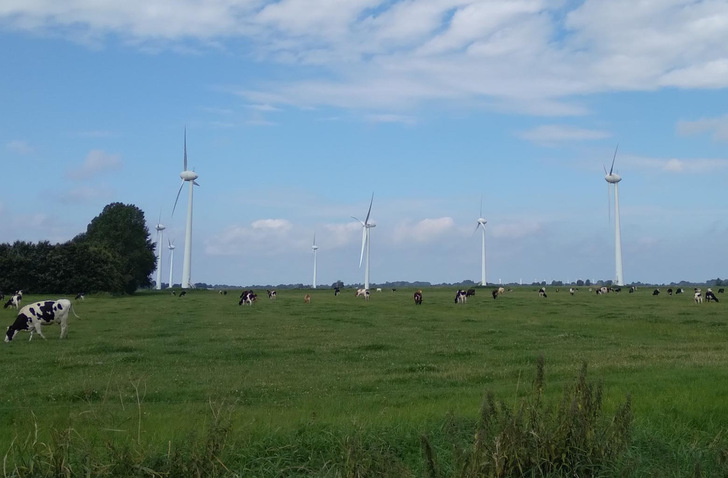 Die Bundesregierung will Repowering beschleunigen. Experten kritisieren jedoch widersprüchliche Regelungen.