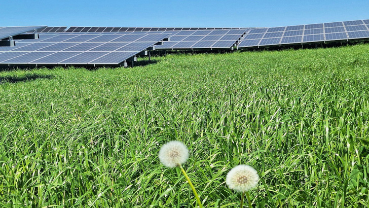 In Silberstedt baut Vattenfall seinen ersten Solarpark mit Bürgerbeteiligung. Damit will das Unternehmen unter anderem die Akzeptanz weiter förder.