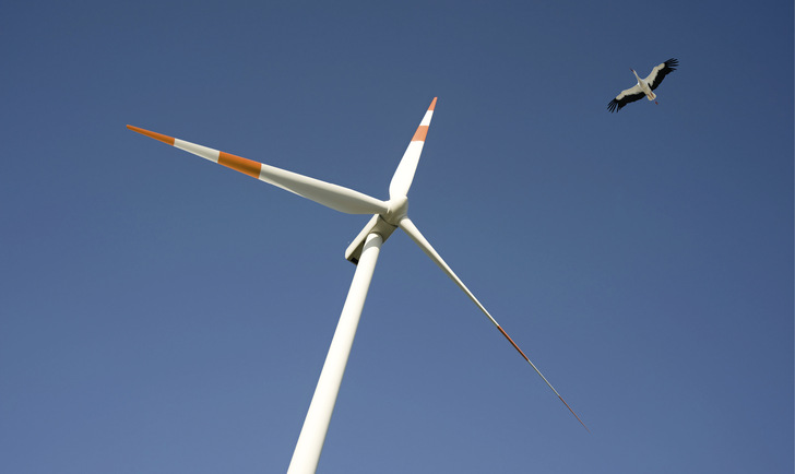 Ein Storch fliegt in unmittelbarer Nähe an einer Windenergieanlage vorbei.