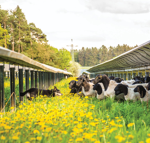 Kommunen sollten jetzt anfangen, erneuerbare Energien auszubauen.