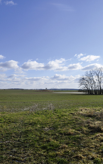 Ein Hügelgrab (Mitte des Bildes) - kaum zu erkennen, und doch verhindert es Windparks.