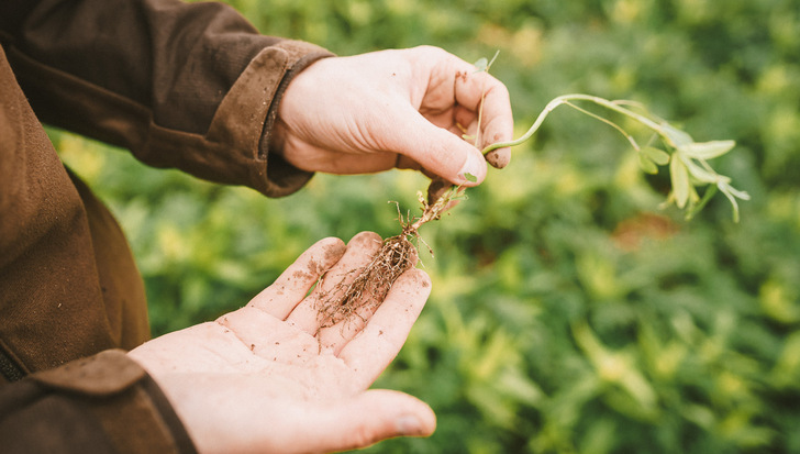 CO2-Reduktion in der Landwirtschaft – dafür kann man einiges tun.