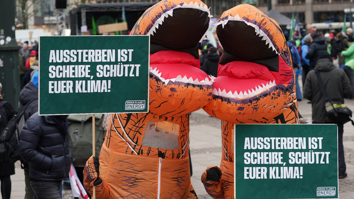 Klimastreik Mitte Februar 2025 in Berlin