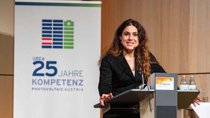 Die Wirtschaftsexpertin Monika Köppl-Turyna hat klargemacht, dass ohne die Erneuerbaren der Plan von sinkenden Strompreisen in Österreich nicht aufgehen wird.