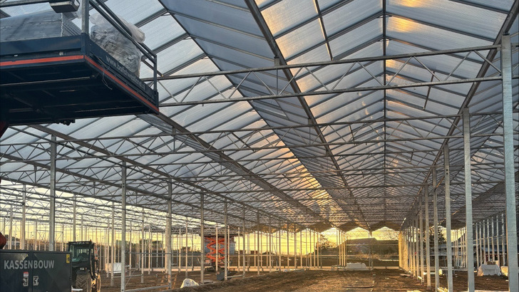 Das Gewächshaus selbst ist mit moderner Technik ausgestattet, um den Energieverbrauch gering zu halten. Dann reichen auch die Erträge aus dem Solar- und dem Windpark, um die Energieversorgung ganzjährig abzusichern.