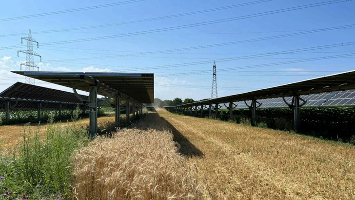 Wenn Photovoltaik auf Ackerflächen gebaut wird, sollte dies möglichst so geschehen, dass die landwirtschaftliche Nutzung erhalten bleibt.