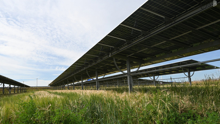 Ein Teil der Anlage wird auf Trackern gebaut. Auf dieser Fläche findet weiterhin Landwirtschaft statt.