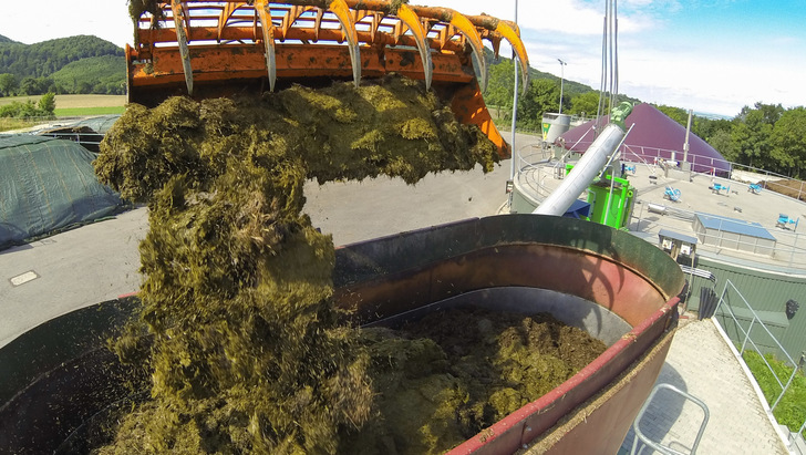 Forschungsstation der Stuttgarter Universität Hohenheim in Eningen, wo derzeit im Projekt Optigär auch Forschungen an nachwachsenden Rohstoffen stattfinden.