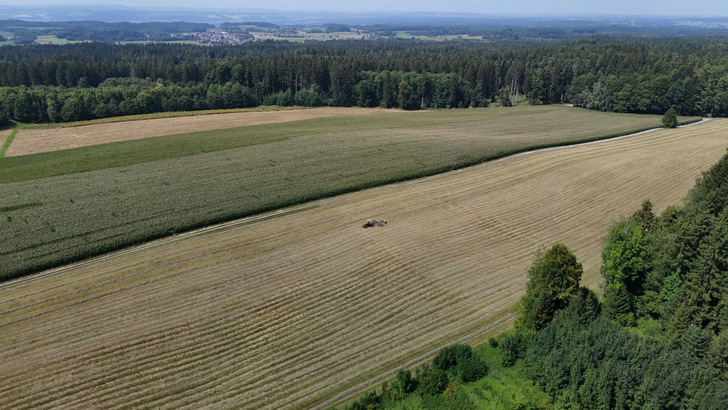 Noch bewirtschaftet der Landwirt die Fläche ohne Photovoltaik. Durch die Agri-PV wird er aber auch nach dem Bau der Anlage das Areal weiterhin für den Ackerbau nutzen können.