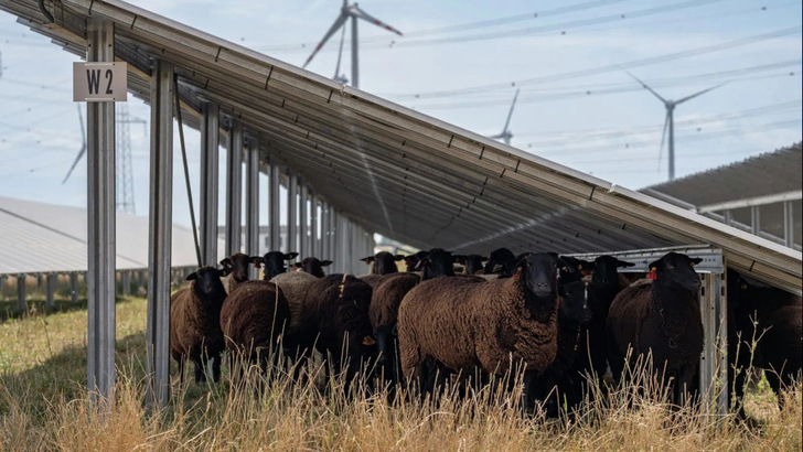 Die Photovoltaik liegt in Österreich mit der neu installierten Leistung vorn.