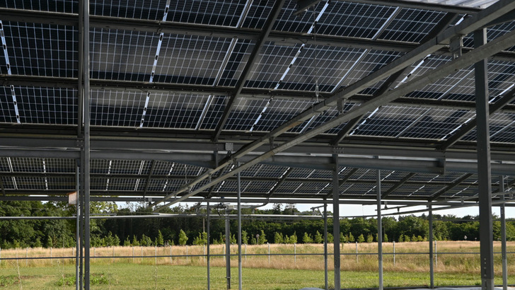 Die Anlage entspricht den Spezifikationen für die Agri-PV in Italien.