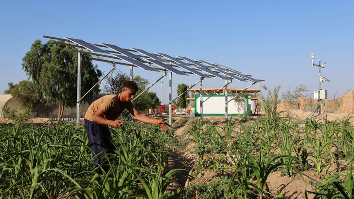 Mit dem Projekt in Ägypten verfolgen die Partner das Ziel, Landwirtschaft in ariden Wüstenregionen zu verbessern und gleichzeitig sauberen Strom zu produzieren.