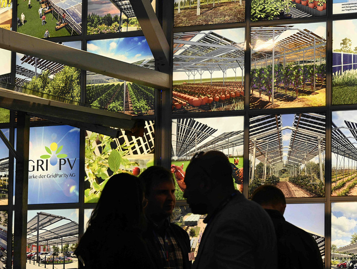 Agri-PV verbindet Photovoltaik und Landwirtschaft.