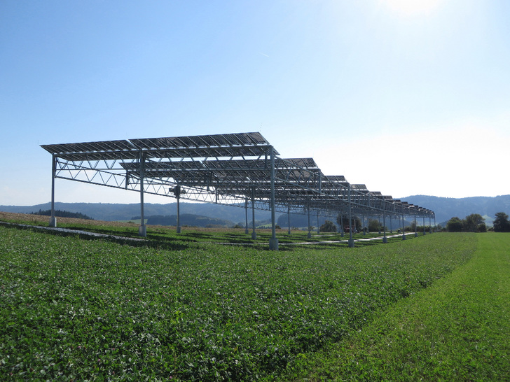 Mit dieser Agriphotovoltaik-Pilotanlage auf dem Gelände der Demeter-Hofgemeinschaft in Heggelbach bei Konstanz haben die Forscher des Fraunhofer ISE den Einfluss der Solarmodule auf die Ernteerträge getestet. - © Fraunhofer ISE