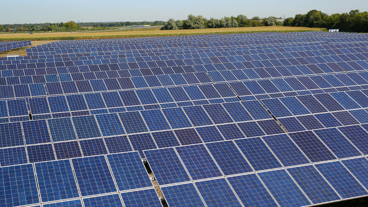 Durch den Bau der Photovoltaikanlage kommt die einstige Landwirtschaftsfläche zur Ruhe. Die Flora und Fauna danken es.