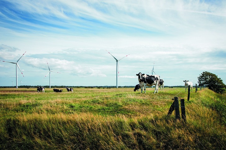 © Siemens Gamesa - BeBa Energie