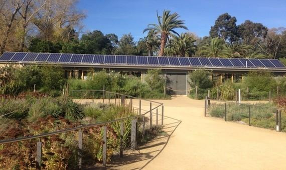 Q-Cells-Solaranlage auf einem Gebäudedach im Melbourne-Zoo.