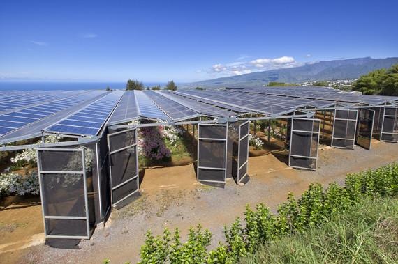 Solares Gewächshaus | Wenig Platz optimal genutzt: Unten gedeihen Pflanzen im Schutz des Gewächshauses, oben wird Sonne geerntet.