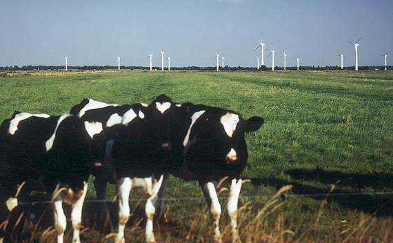 Der erste Windpark von Energiekontor: Misselwarden, zehn mal 500 Kilowatt. 1994.