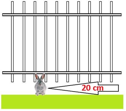 Der BUND empfiehlt zwischen Bodenoberkante und Zaununterkante 20 cm, um die ökologische Durchgängigkeit für Kleintiere zu gewährleisten.