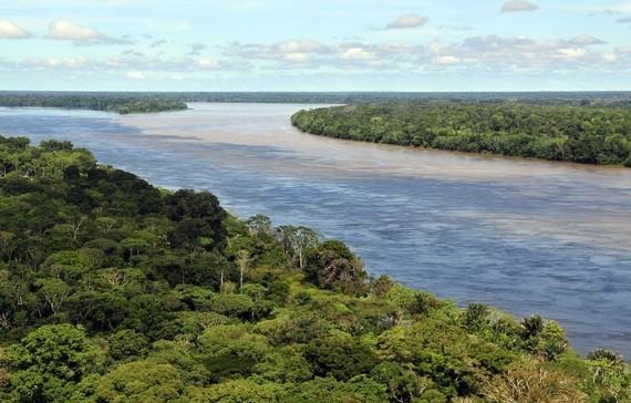 Das Amazonasbecken muss vor weiteren Rodungen geschützt werden. - © Foto: Neil Palmer/CIAT - Flickr