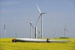 Fantanele Windpark | Den 600-MW-Windpark Fantanele bekam GE in Rumänien 2012 rechtzeitig ans Netz. Weniger glatt lief der Anschluss eines Windparks in Brasilien. Er kostete GE Rang 1 im Ranking des dänischen Branchenberaters Make Consulting. - © Foto: GE Wind