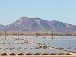 Solarpark Agua Caliente | Der Solarpark Agua Caliente im Yuma County sichert Arizona den zweiten Platz im Ranking der Bundesstaaten. Die ersten 250 Megawatt des Großprojektes gingen MItte September in Betrieb.