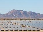 Solarpark Agua Caliente | Der Solarpark Agua Caliente im Yuma County sichert Arizona den zweiten Platz im Ranking der Bundesstaaten. Die ersten 250 Megawatt des Großprojektes gingen MItte September in Betrieb. - © Foto: First Solar