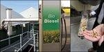 Branchenumfrage Bioenergie | Die Bioenergiebranche ist so heterogen wie die Energien auf diesem Feld. Biogas, Biodiesel und Holzpellets sind prominente Repräsentanten. - © Foto: MT-Energie, BMU, DEPI
